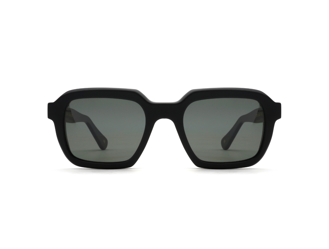 Raffaello Sun S53 C22 Black Matt (Grey Polarized (Base 2)) (5921)