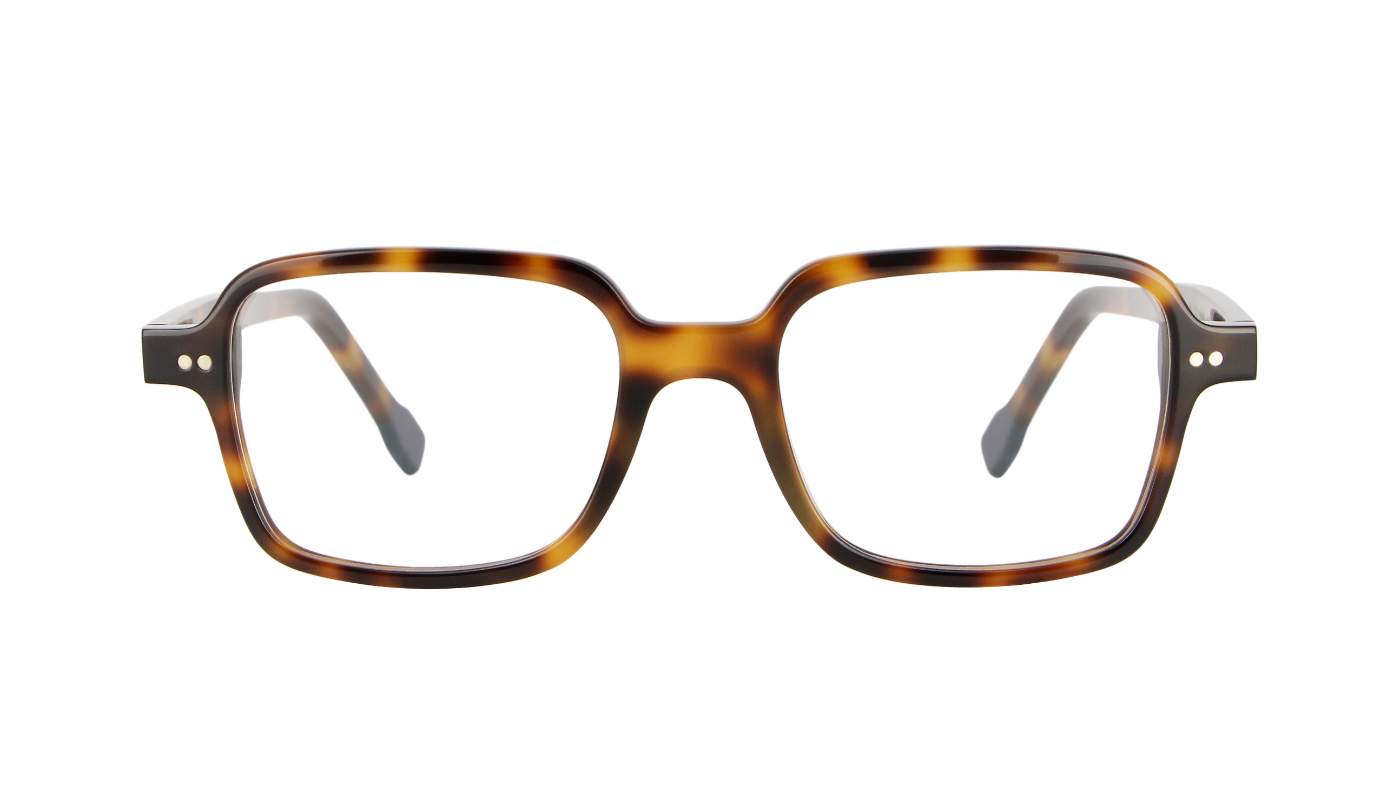 V3168 A546 Classic Havana With Solid Blues